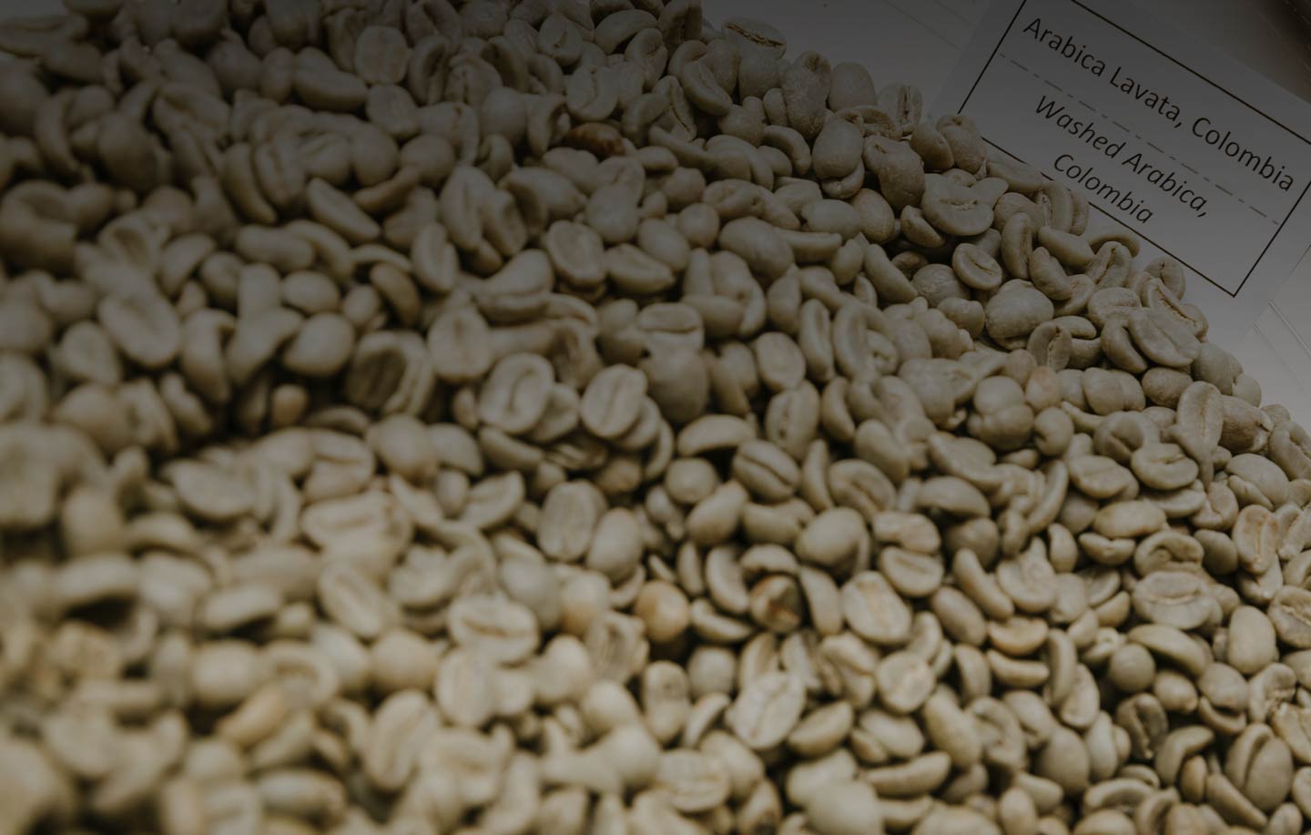 Coffee Arabica: what is and the special blend