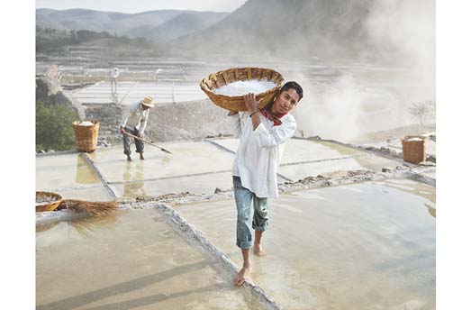 Lavazza calendar 2016 june